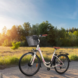 Rower elektryczny Sanico Goldlux Goldbike G-Lady 326942