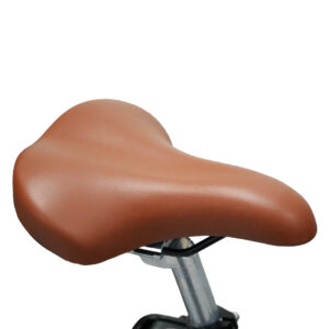 Rower elektryczny Sanico Goldlux Goldbike G-Lady 326942