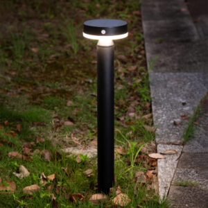 Sanico Goldlux lampa solarna GWINEA LED stojąca z czujnikiem PIR 50cm 4000K USB-C IP44 329790
