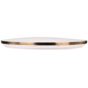 Sanico Goldlux KERN 80 plafon LED z pilotem IR złoty 80W 3000K-6000K IP20 - 331922