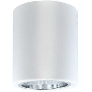 Sanico Goldlux oprawa natynkowa  JUPITER 10 E27 okrągła stała biała IP20 - 307170