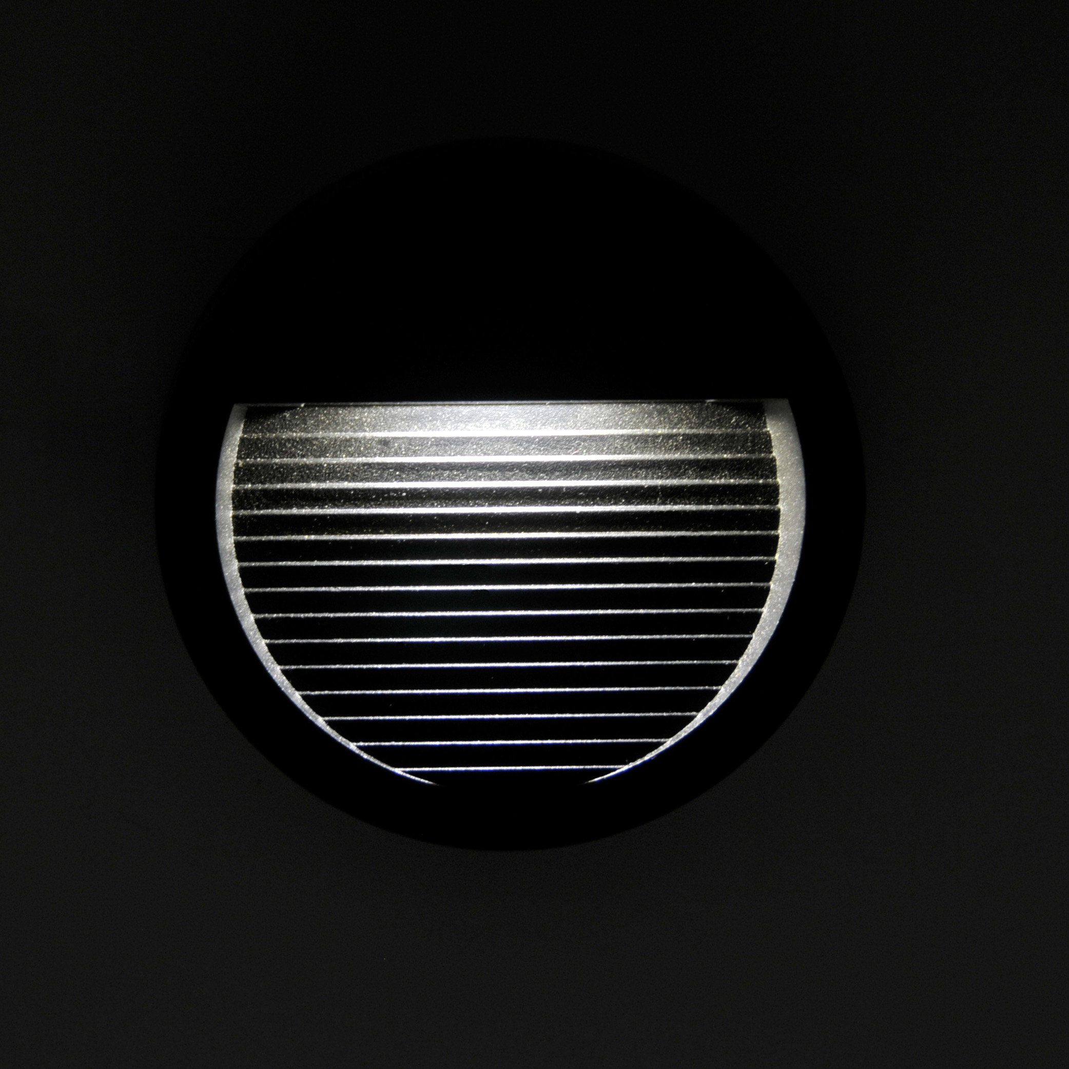 313744_5.jpg