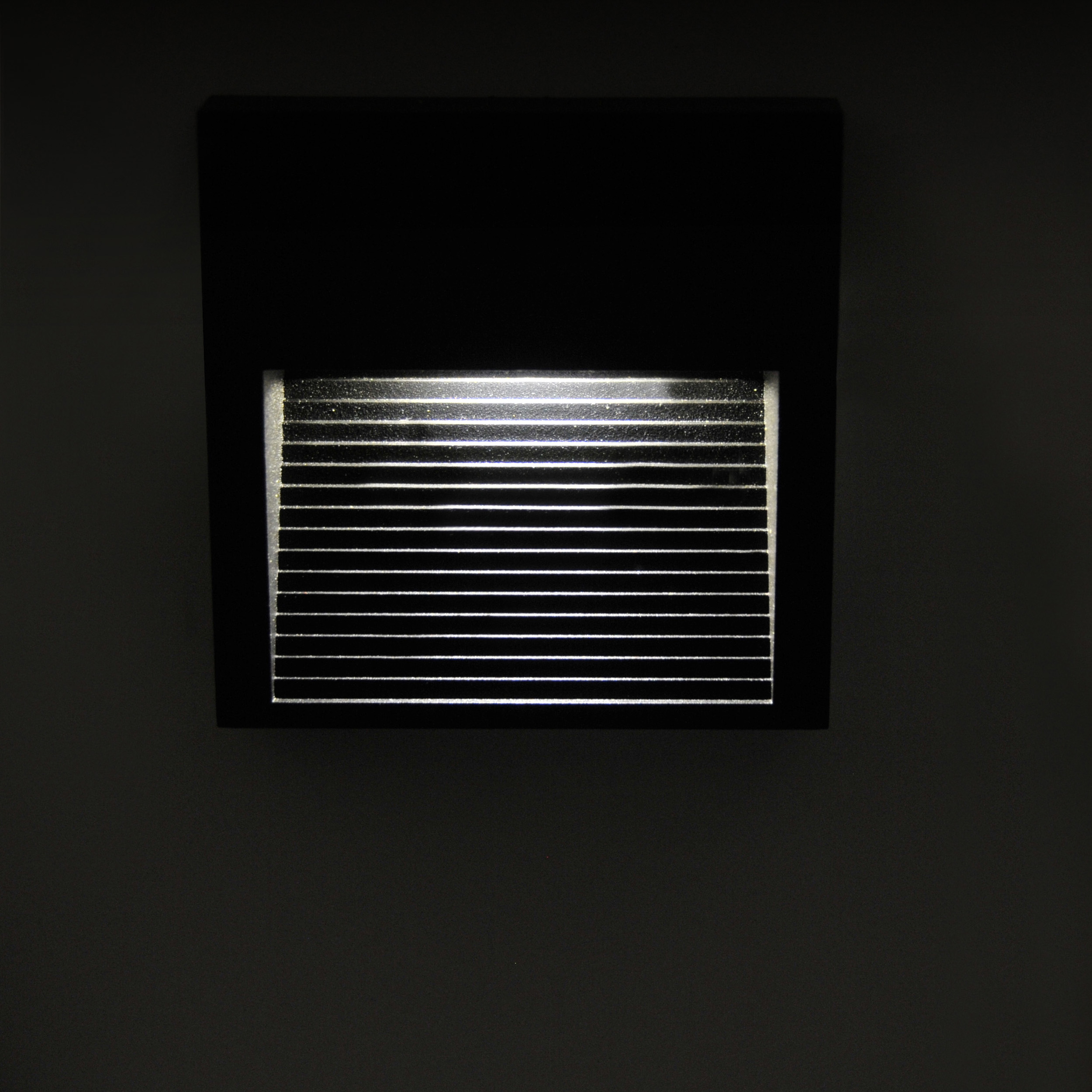 313751_6.jpg