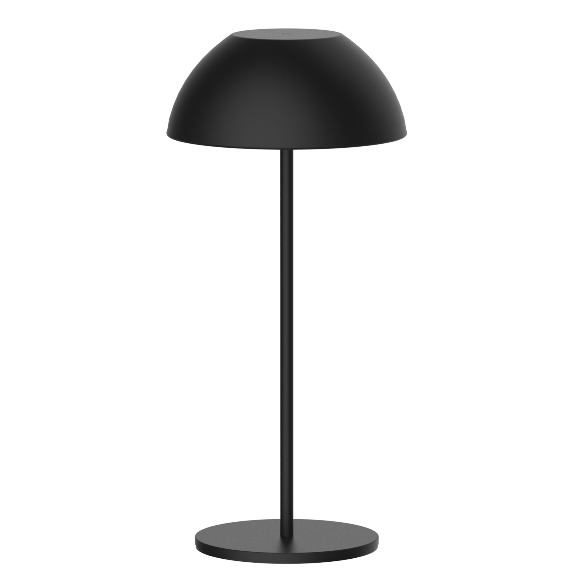 329950_2.jpg