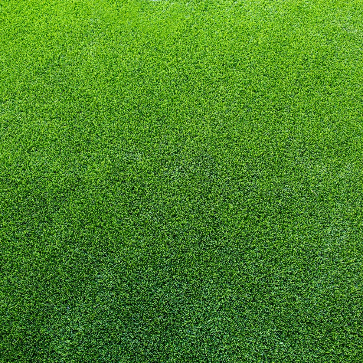 IRLANDIA-2-sztuczna-trawa-331687-A1-min.jpg