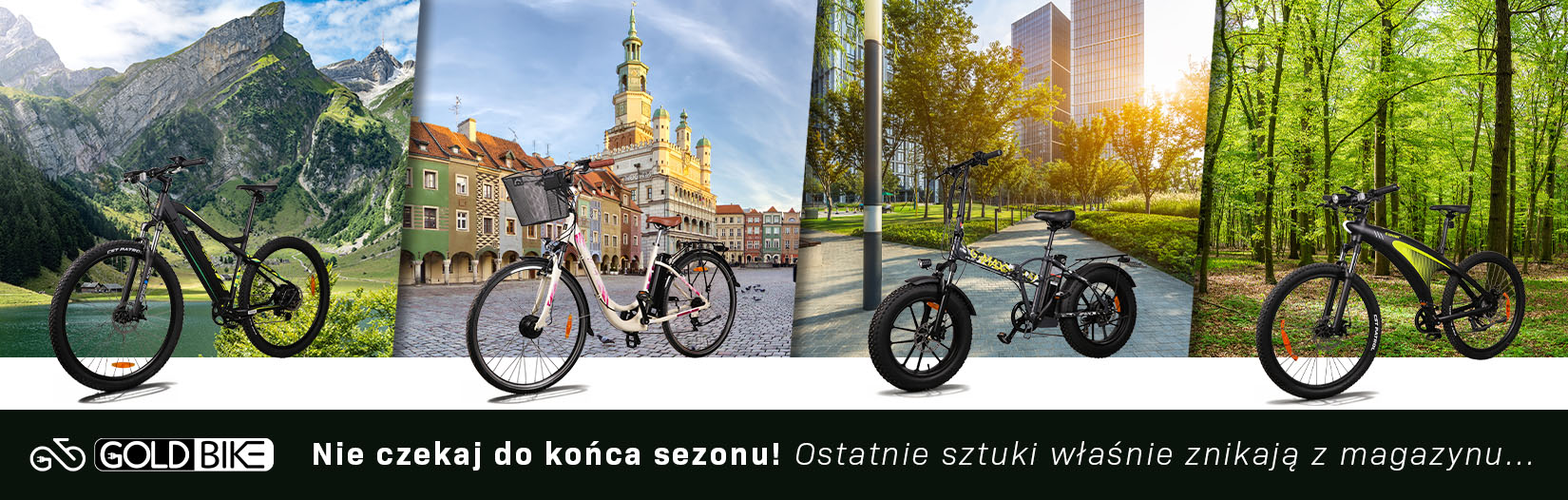 rowery goldbike sanico