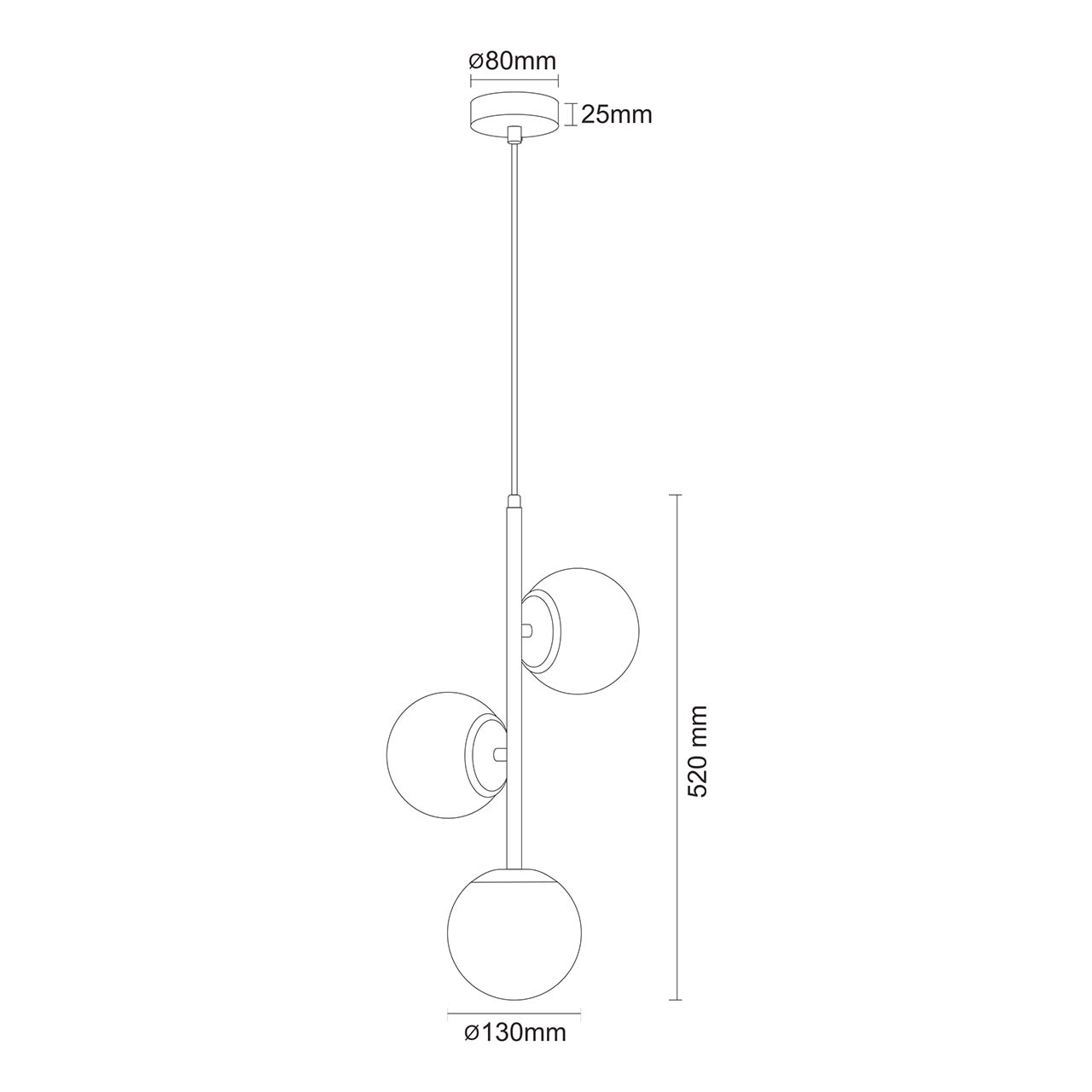 CMAA_341679_W1