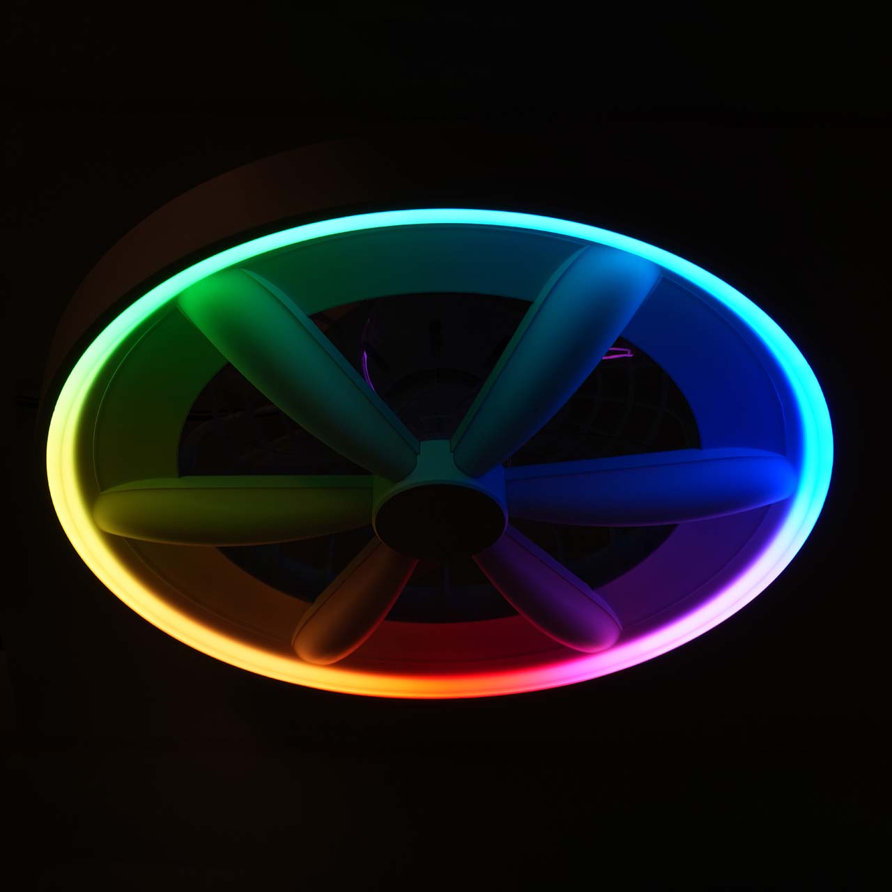CMAA_343222_F9